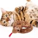 thumbnail image 2 of KAKOWELY Juguete para gatos, peluche de serpiente, juguete interactivo para mascotas., 2 of 4
