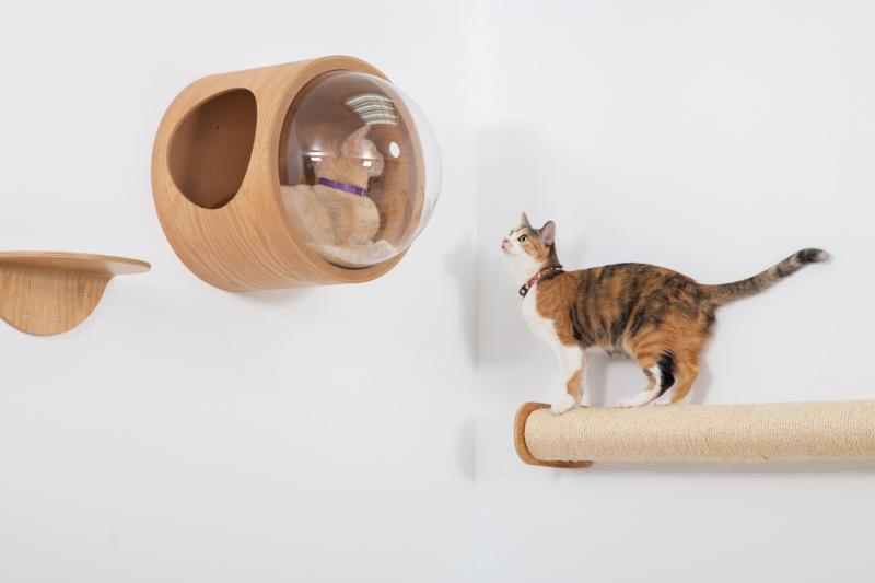 cat wall scratcher