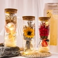 thumbnail image 3 of Tnobhg Preserved Flower Glass Wishing Bottle Eternal Rose Flower with LED Light Romantic Gift for Lover Friends, 3 of 8