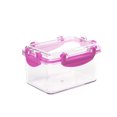 thumbnail image 2 of Xingzhi Boîte de Rangement Scellée pour Filles, Mini Boîte de Rangement Transparente pour Salade, Collations, Fruits, Organisation de Bureau, 2 of 8