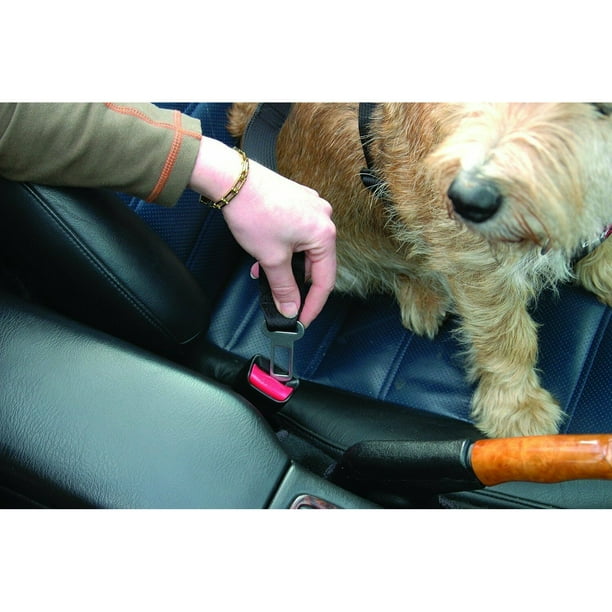 Clix dog harness top