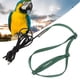 thumbnail image 3 of Accesorio Correa De Arnés Para Pájaros Cuerda De Tracción Elástica Ajustable Para Entrenamiento De Vuelo De Loros Para Cockatiel Lovebird, 3 of 7