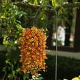 thumbnail image 7 of WUJDF Fall Artificial Faux Mums Hanging Flowers Plants Basket for Outdoor Decoration,Fake Silk Daisy Planters Uv Resistant Look Real for Home Porch Patio Balcony Yard Fall Decor Artificial Flowers, 7 of 7