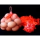 thumbnail image 3 of 100pcs Reusable Produce Fruits Mesh Bag, 3 of 5