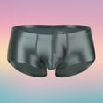 thumbnail image 1 of Men's Underwear Breathable Soft Comfortable Briefs For Daily Wear Low Rise Sheer Shiny Undergarment For Everyday Use, 1 of 3