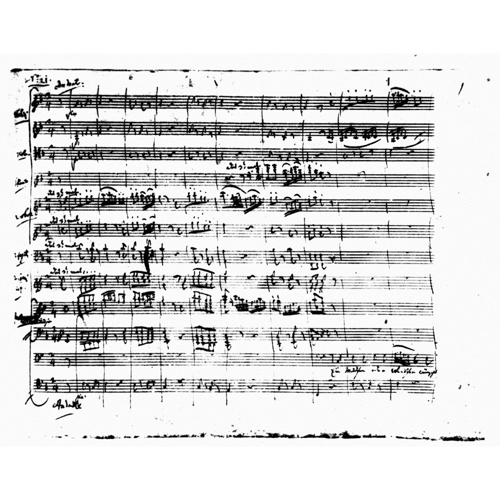 Mozart Magic Flute NpapagenoS Aria From Wolfgang Amadeus MozartS