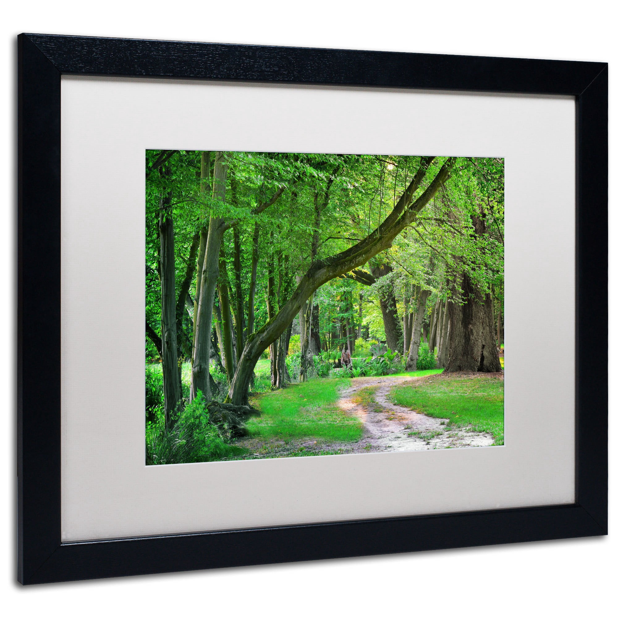 Trademark Fine Art "Intimate Landscape" Canvas Art by Philippe Sainte-Laudy, White Matte, Wood Frame