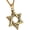 Gold&Black, variant on Magen Star of David Pendant Necklace Women Men Chain Silver Stainless Steel Israel Necklace
