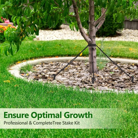 LOLIPPYY 1Set Easy to Use Plastic Tree Stake with Durable Plant Support Anchors