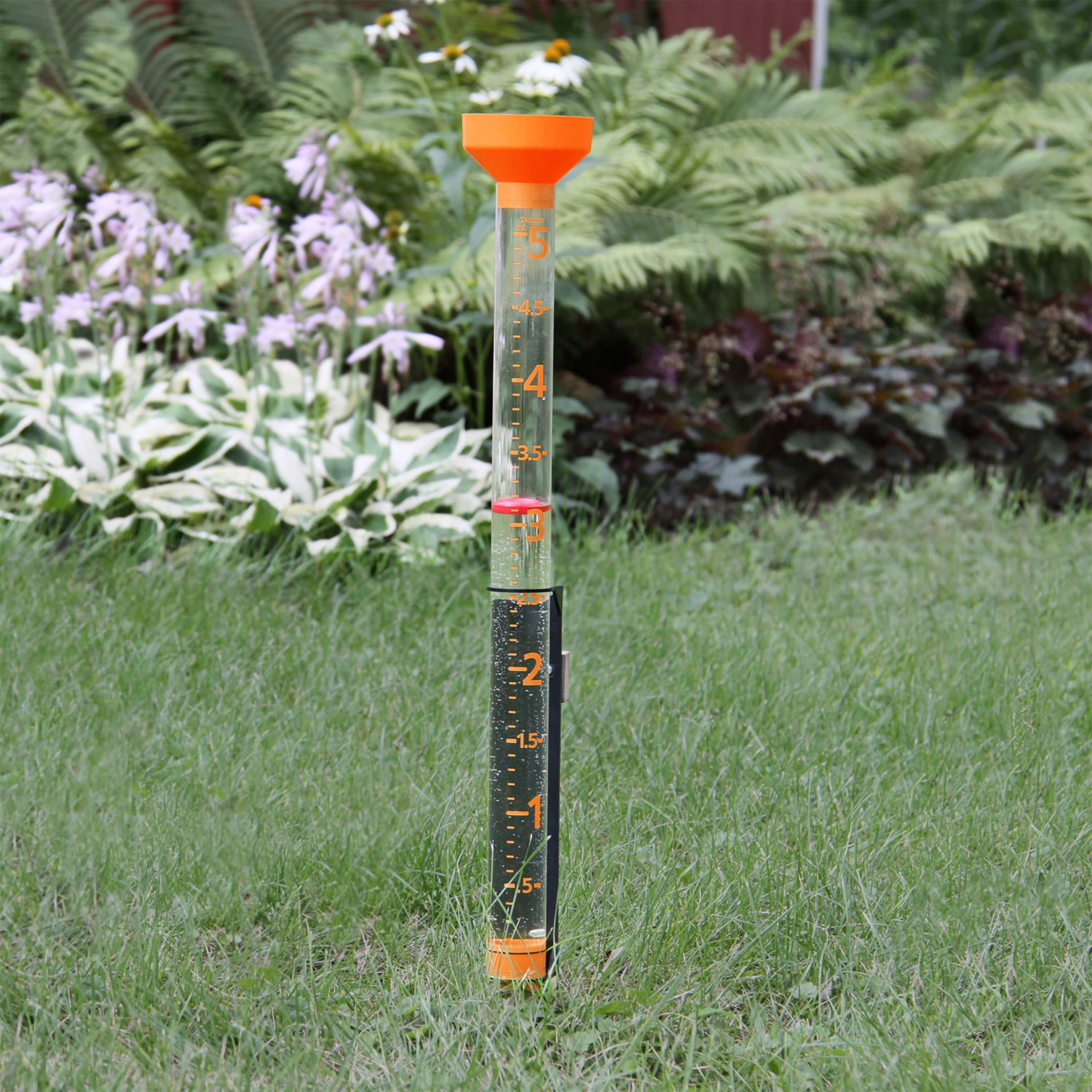 Buy Taylor ClearVu Rain Gauge 5inch Capacity with Jumbo EasyView in