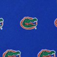 thumbnail image 4 of Eagles Wings Florida Prep Silk Necktie, 4 of 4