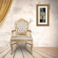 thumbnail image 3 of Allen, Kimberly 15x32 Gold Ornate Wood Framed with Double Matting Museum Art Print Titled - Fern Gold 1, 3 of 4