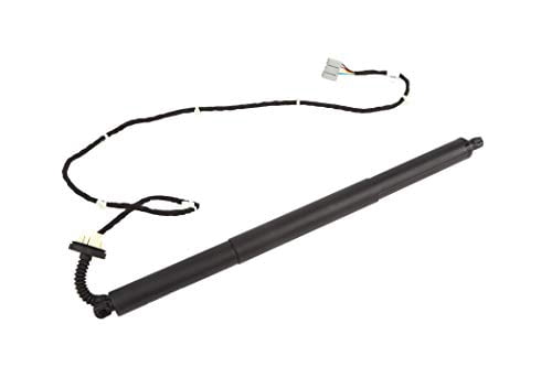 Acdelco 23289161 Rear Power Lift (Slp 1)