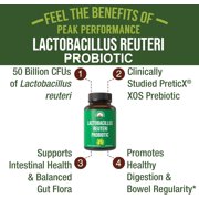 Peak Performance Lactobacillus Reuteri Capsules for Gut Health and Digestive Support