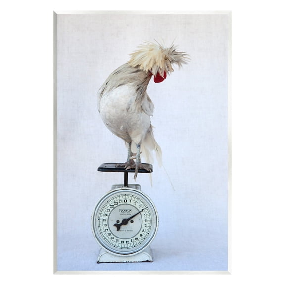 Stupell Industries White Bird Standing Vintage Kitchen Scale Photography Photograph Unframed Art Print Wall Art, Design by Tania Soderman