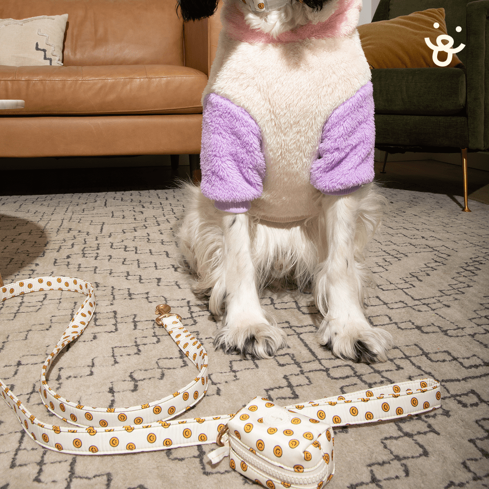 Oodles White Smiley Face Dog Walking 3 Piece Set, Medium