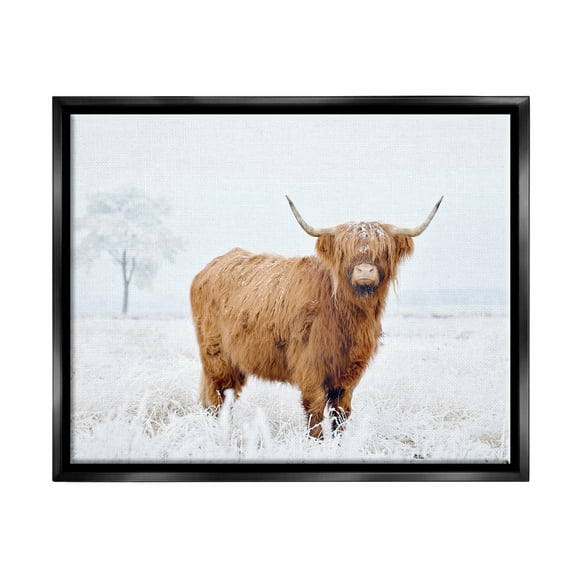 Stupell Industries Highland Cow in Snow Animals & Insects Photography Black Floater Framed Canvas Art Print Wall Art, 21 x 17