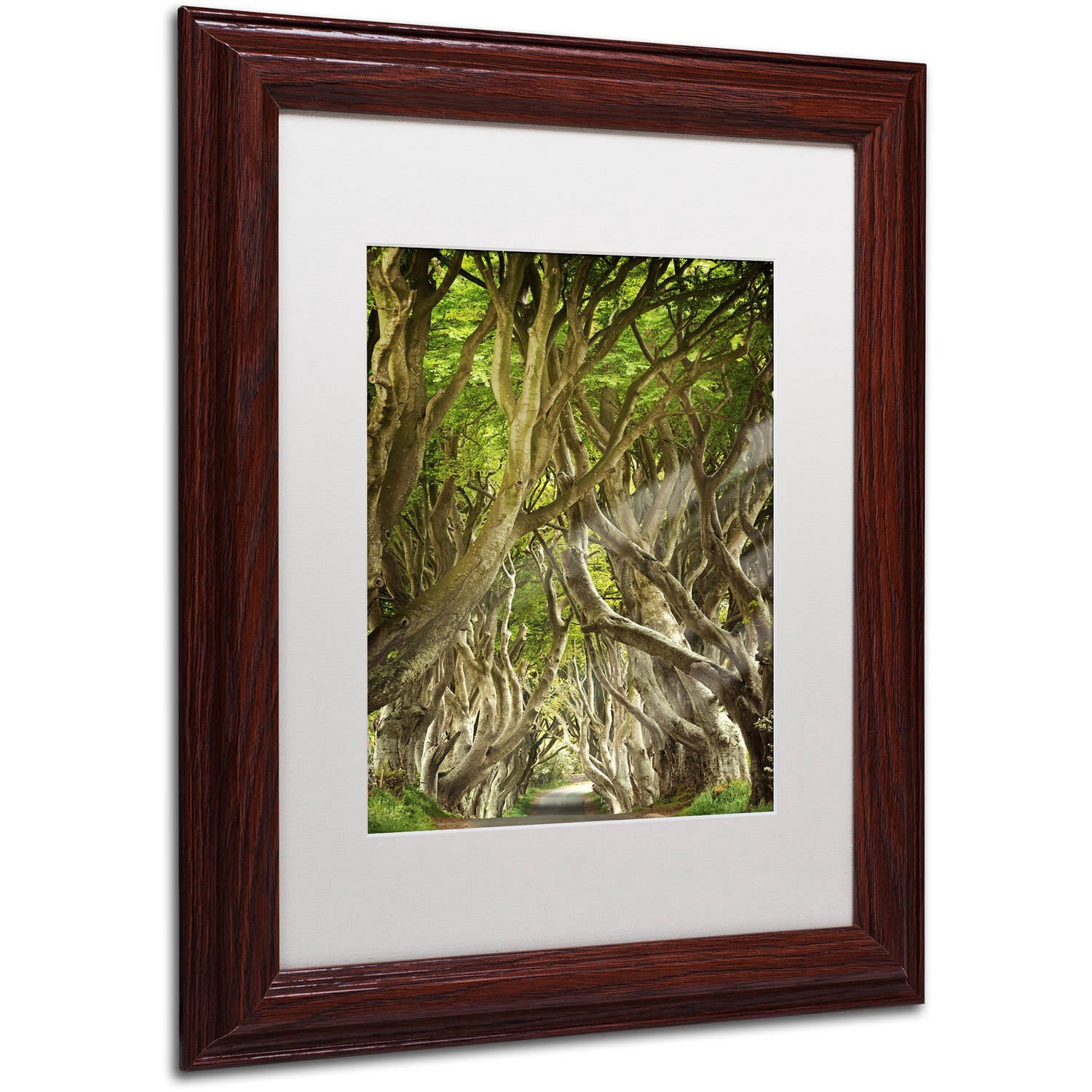Trademark Fine Art "The Way It Is" Canvas Art by Philippe Sainte-Laudy, White Matte, Wood Frame