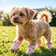 thumbnail image 5 of Dog Winter Booties Small Dog Paw Protective Shoes Antiâ Pet Winter Boots With Fuzzy Lining Adjustable Strap Zipper Closure For Cold Weather Outdoor Walking, 5 of 9