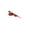 Deep Red, variant on QXFBJOQH Cats Toy Bird Replacement Head With Bell, Interactive Feather Bird Refill For Cats Wand, Natural Feather Bird Cats Toy With Bell, Random Pattern Fabric Bird