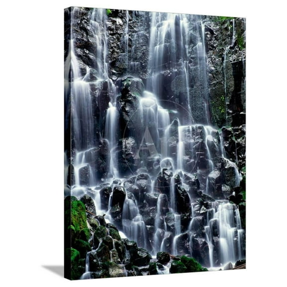 Scenic view of waterfall, Ramona Falls, Mt Hood Wilderness, Mt Hood National Forest, Oregon, USA, Stretched Canvas Wall Art Sold by Art.Com