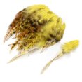 thumbnail image 4 of Plumas de pollo teñidas de 10 a 15 cm, plumas de faisán naturales para fiestas, manualidades, joyería, plumas, decoración, mayorista, 4 of 5