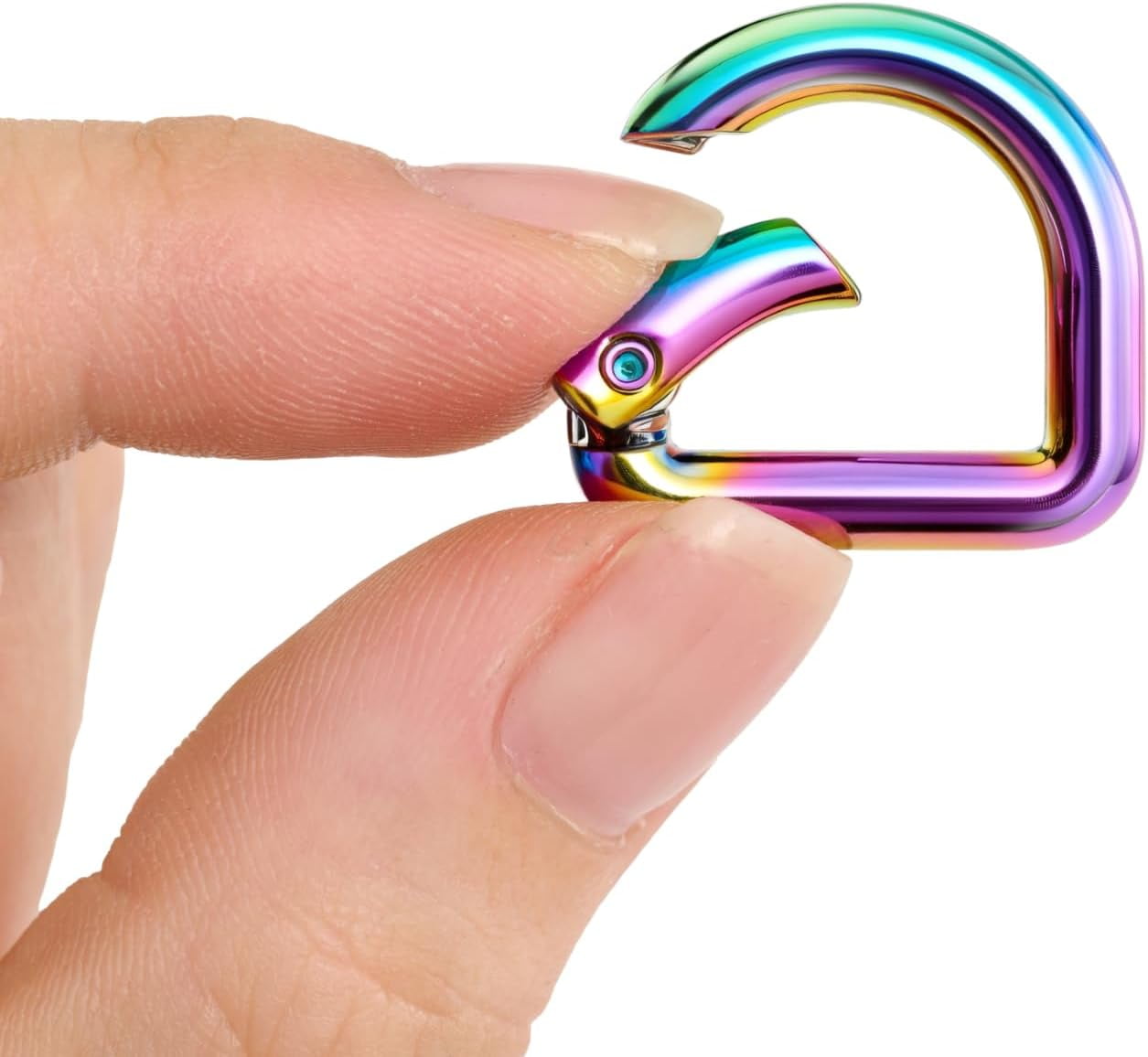 10pcs Metal D Ring Spring Key H s Keyring Clip for Keychain Buckle, Backpacks Handbag Purse Hardware, DIY Crafts