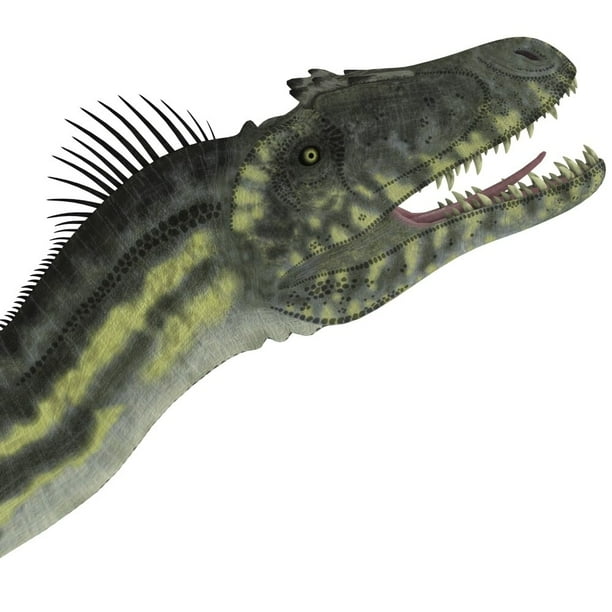 Deltadromeus dinosaur head. Deltadromeus was a theropod carnivorous dinosaur that lived in