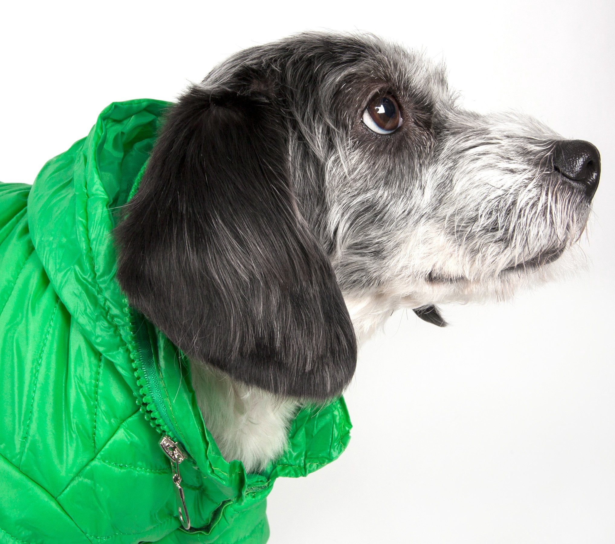 Pet Life  Avalanche Dog Coat-Large
