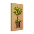thumbnail image 2 of Trademark Fine Art 'Potted Lemons' Canvas Art by Barbara Mock, 2 of 3