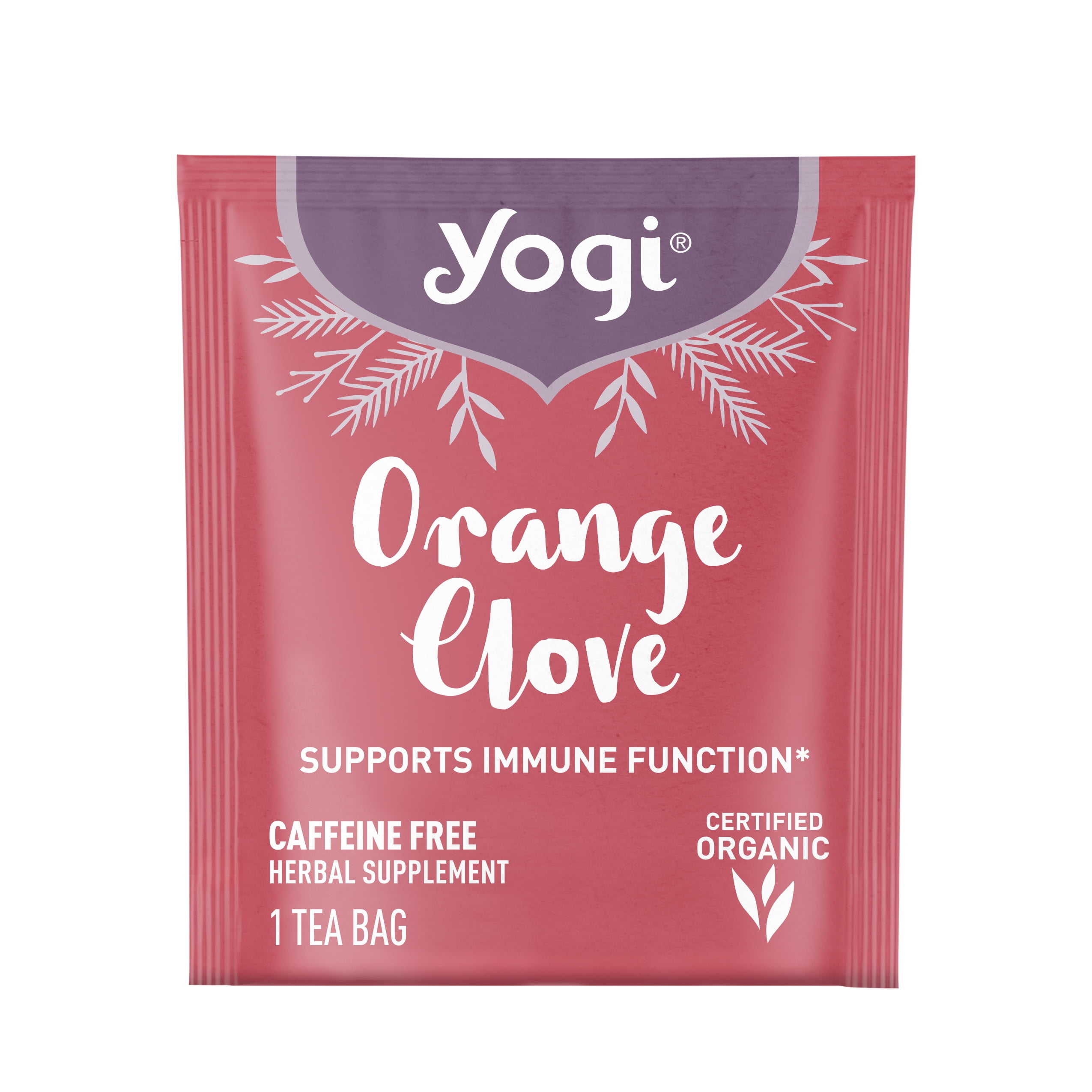 NATURE TONES IGNITE LOGO CHABU-DAI オレンジ Boochcraft Orange Twist Hard Kombucha