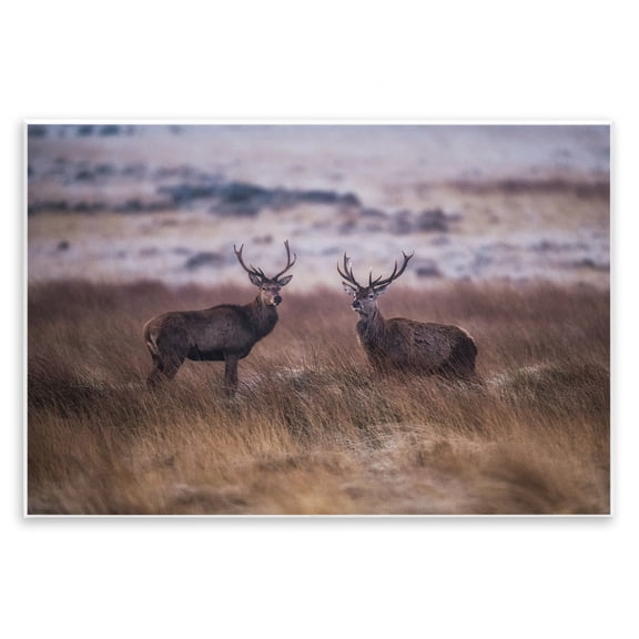Stupell Industries Farmhouse Deer Couple Family Animal Landscape Photo Wall Plaque Art, 15 x 10, by Villager Jim