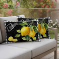 thumbnail image 4 of Summer Lemon Pillow Covers 2 Pack Country Farm Yellow Fruit Leaf Black Buffalo Plaid Pillowcase Waterproof Outdoor Throw Pillow Cover for Patio Balcony Rectangular Cushion 20”x12”, 4 of 9