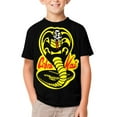 thumbnail image 3 of Cobra Kai T-Shirts for Boys Girls, Kids 3D Print Short Sleeve, Unisex Crew Neck Tee Shirts for Youth, 3 of 9