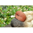 MALLARD WITH RED HEAD - Walmart.com