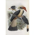 thumbnail image 3 of Daniel Giraud Elliot 11x14 Black Modern Framed Museum Art Print Titled - Penelopides Panini (1882), 3 of 5