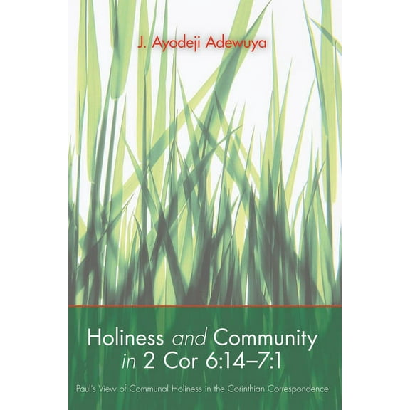 Holiness and Community in 2 Cor 6: 14-7:1 (Paperback)