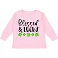 thumbnail image 3 of Inktastic Blessed and Lucky 4 Leaf Clovers St. Patrick's Day Boys or Girls Long Sleeve Toddler T-Shirt, 3 of 5