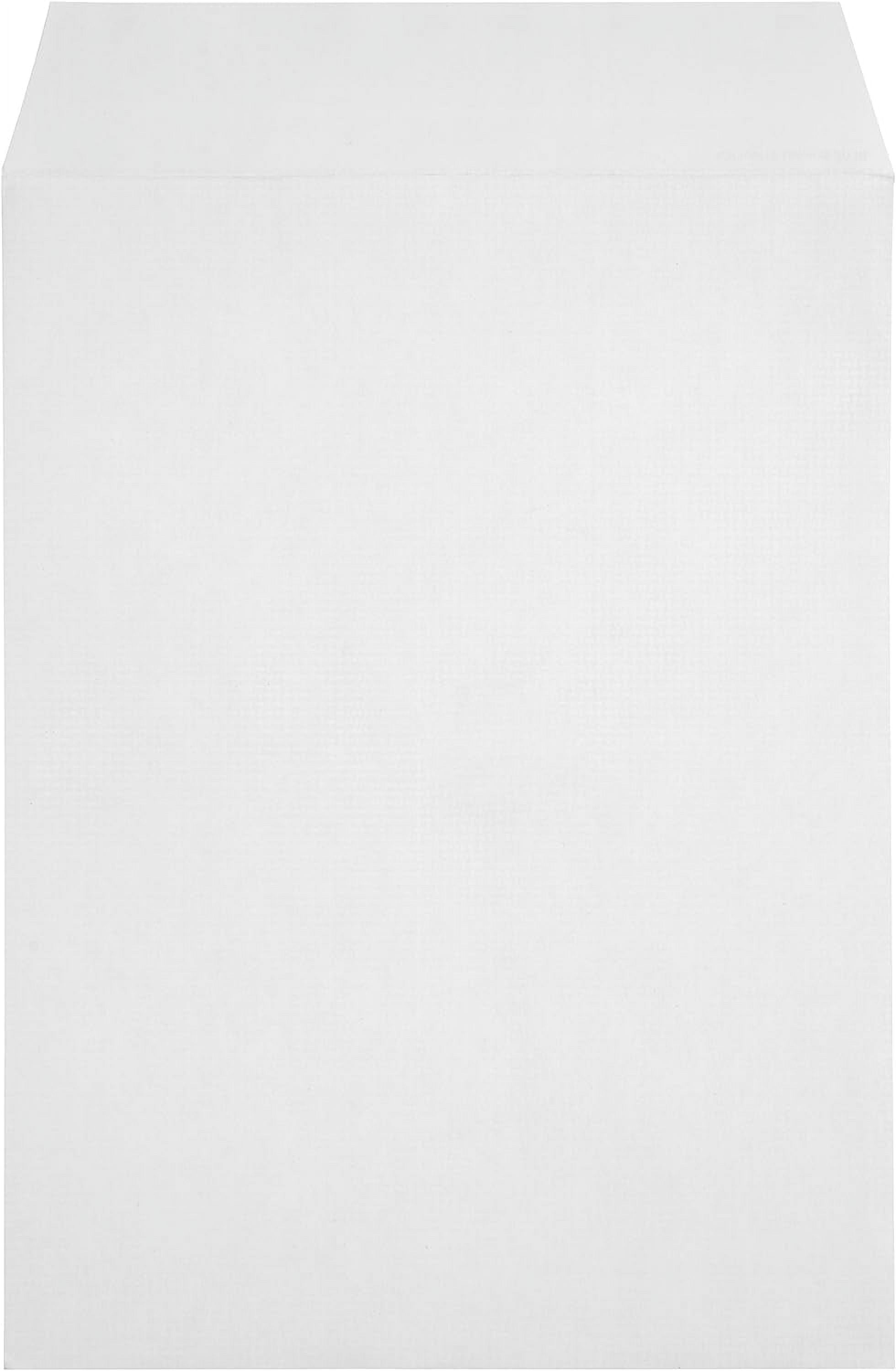 100 9 X 12 Self Seal Security Catalog Envelopes - Designed for Secure Mailing Securely Holds up to 60 Sheets of Paper with Strong Peel and Flap (100 Envelopes)