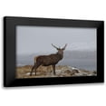 thumbnail image 1 of Uhlig, Dieter 24x17 Black Modern Framed Museum Art Print Titled - Proud, 1 of 5