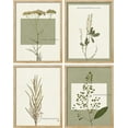 thumbnail image 3 of PixonSign 4 PCS Wilderness Plant Poster Set Geometric Square Duotone Plants Prints Flower Framed Wall Art Floral Botanical Nature Artwork Rustic Decor for Bedroom, Office - 8"x10" Natural, 3 of 5