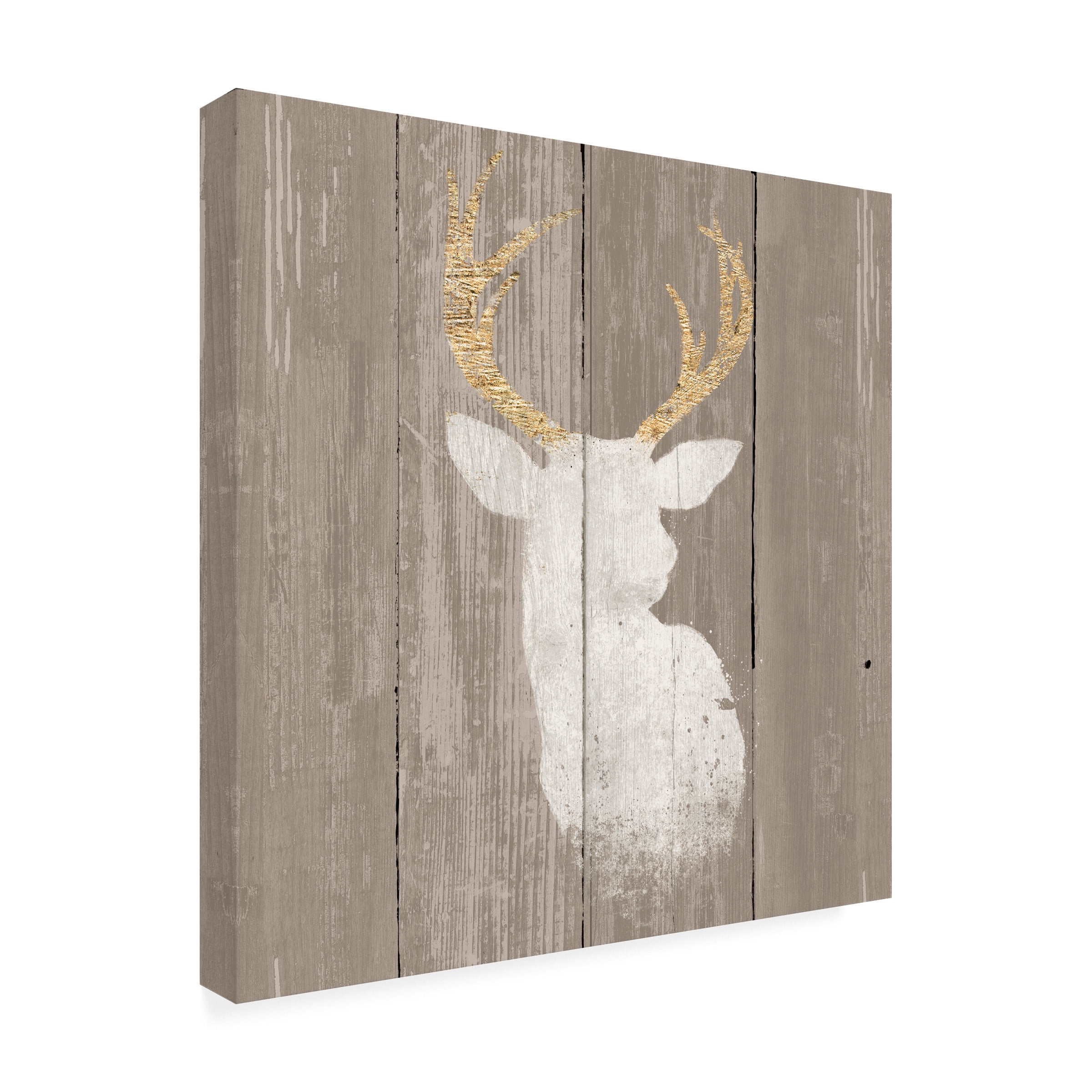 Wellington Studio 'Precious Antlers II On Gray Wood' Canvas Art