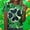 #0003-Green, variant on St Patricks Day Shirt Women Crewneck Pullover Tees Funny Clover Print Short Sleeve Tops Lucky Irish Shamrock T Shirts Gift