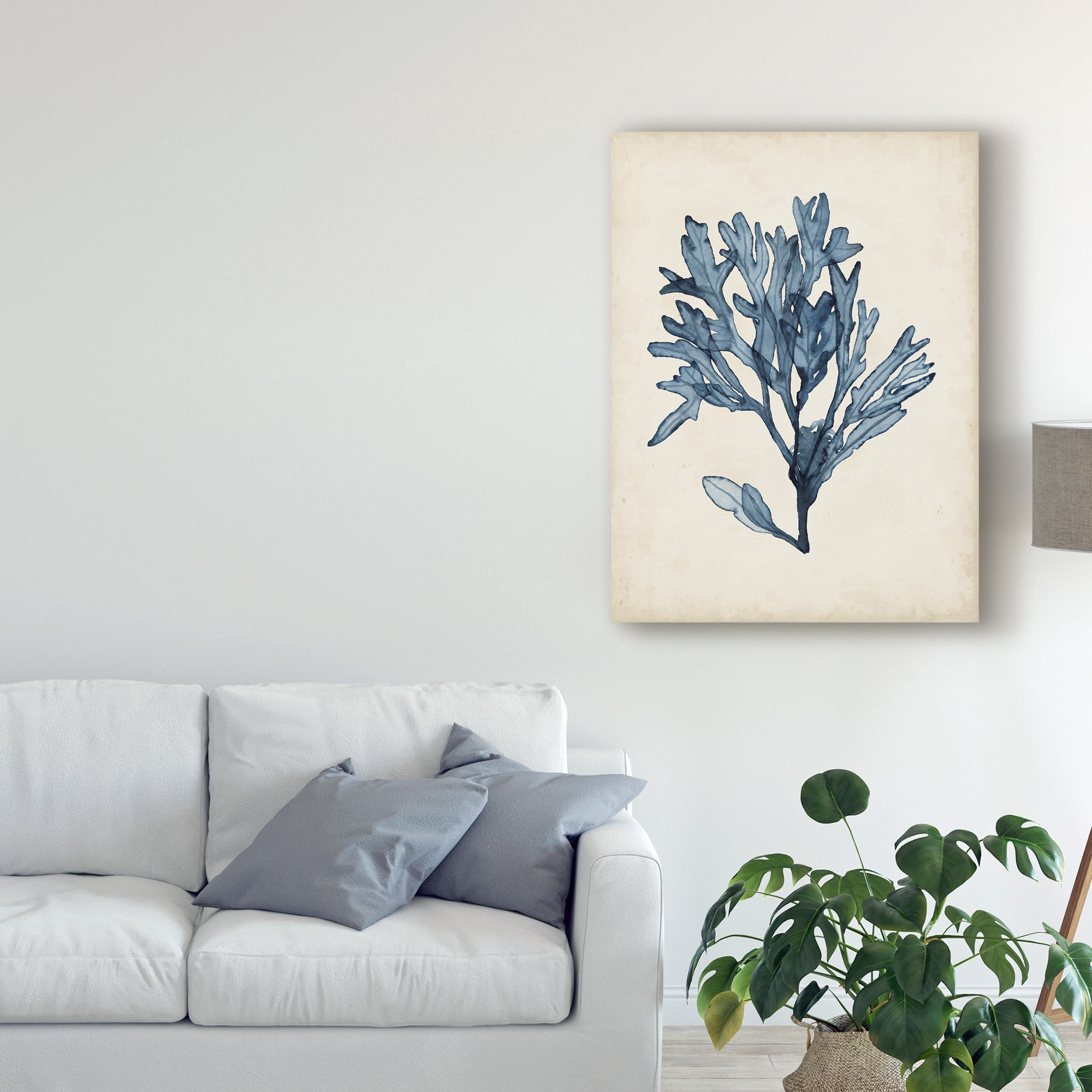 Trademark Fine Art 'Seaweed Specimens II' Canvas Art by Naomi McCavitt