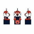 thumbnail image 2 of NC State Wolfpack Tiki Mascot Ornament, 2 of 7