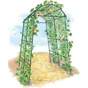 Gardeners Supply Company Extra Tall Garden Arch Arbor 80in Titan Squash Tunnel | Lightweight Metal Garden Arch Trellis Plant Stand for Climbing Vines | Outdoor Lawn Tower & Garden Support Structure