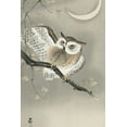 thumbnail image 2 of Koson, Ohara 17x24 Black Ornate Wood Framed with Double Matting Museum Art Print Titled - Long-eared owl in ginkgo, 2 of 4