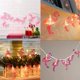 thumbnail image 5 of Cadena de luces de flamenco para exteriores de 3 m con 20 minibombillas incandescentes, decoraciones de hadas para patio tropical, camping, dormitorio, playa, fiesta de cumpleaños, boda. JAMW Sencillez, 5 of 5