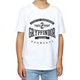 thumbnail image 3 of Harry Potter Boys Gryffindor Keeper T-Shirt, 3 of 5