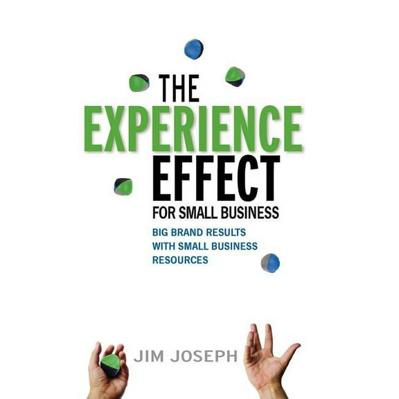 The Experience Effect for Small Business (Hardcover)